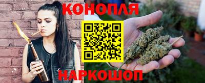 jwh Новозыбков
