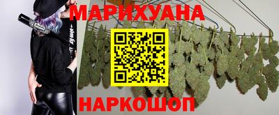 jwh Новозыбков