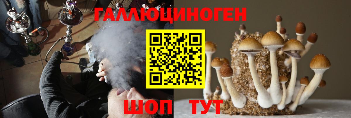 Псилоцибиновые грибы Psilocybine cubensis Фролово